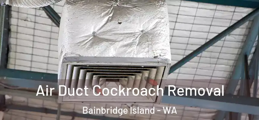  Air Duct Cockroach Removal Bainbridge Island - WA