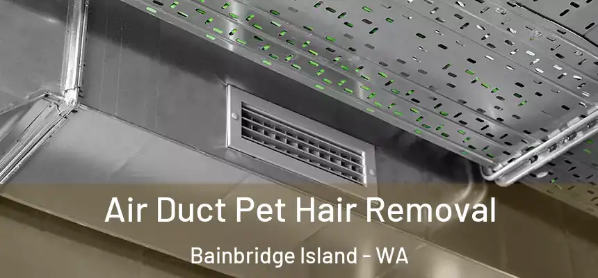  Air Duct Pet Hair Removal Bainbridge Island - WA