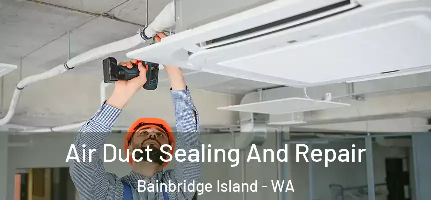  Air Duct Sealing And Repair Bainbridge Island - WA