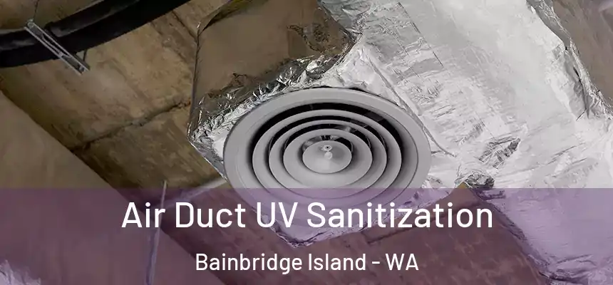  Air Duct UV Sanitization Bainbridge Island - WA