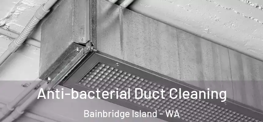 Anti-bacterial Duct Cleaning Bainbridge Island - WA
