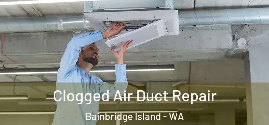  Clogged Air Duct Repair Bainbridge Island - WA