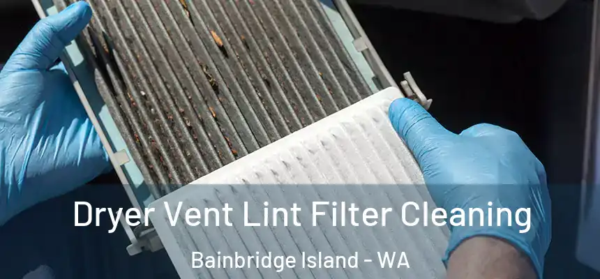 Dryer Vent Lint Filter Cleaning Bainbridge Island - WA