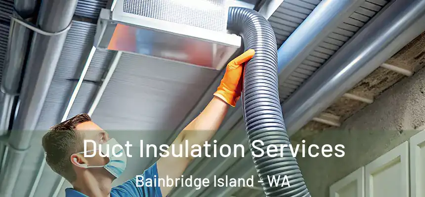 Duct Insulation Services Bainbridge Island - WA