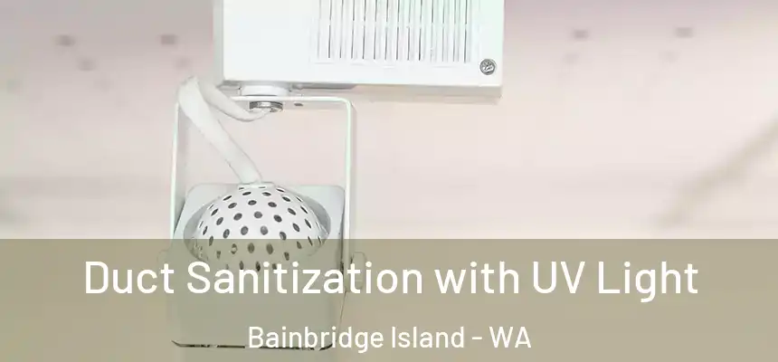 Duct Sanitization with UV Light Bainbridge Island - WA