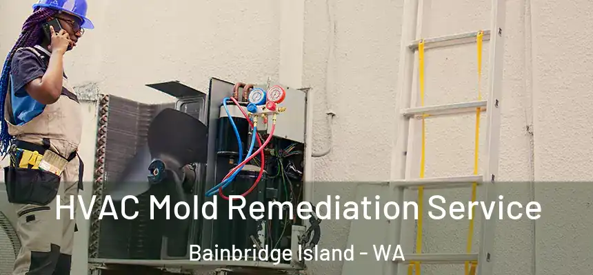  HVAC Mold Remediation Service Bainbridge Island - WA
