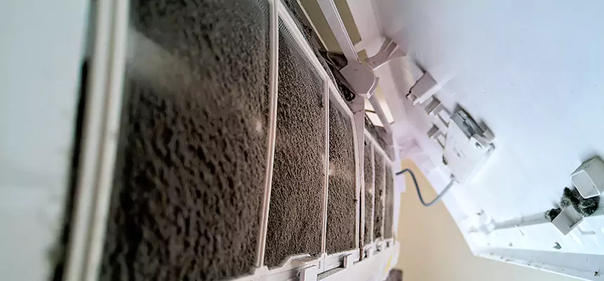 Preventive Air Duct Bacteria Removal in Bainbridge Island