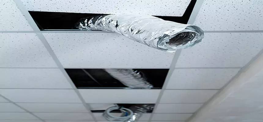 Affordable HVAC Sanitizing After Pest Removal in Bainbridge Island