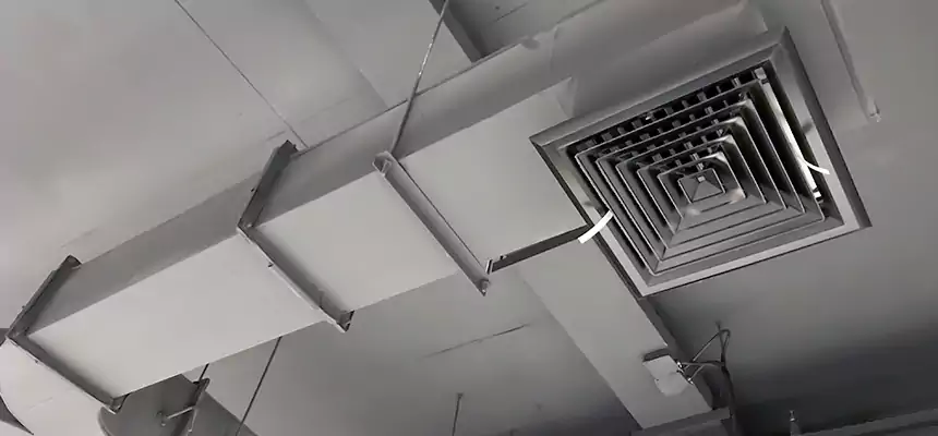 Restorative Allergy Relief Vent Cleaning – Coil, Blower & Housing Detail in Bainbridge Island