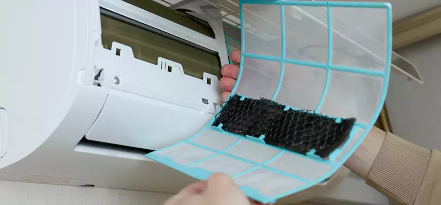 Gentle Ductwork Odor-Control Pet Dander Duct Cleaning in Bainbridge Island, WA