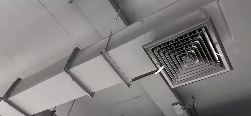 Our Rodent Droppings In Vents Services in Bainbridge Island, WA