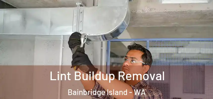  Lint Buildup Removal Bainbridge Island - WA