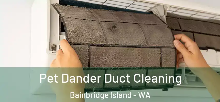 Pet Dander Duct Cleaning Bainbridge Island - WA
