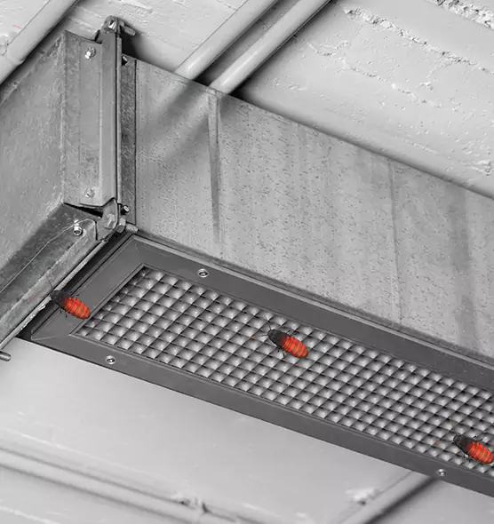 About Air Duct Cockroach Removal in Bainbridge Island, WA