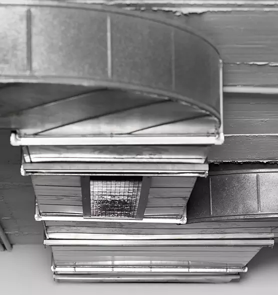 Professional Air Duct Pest Removal in Bainbridge Island, WA