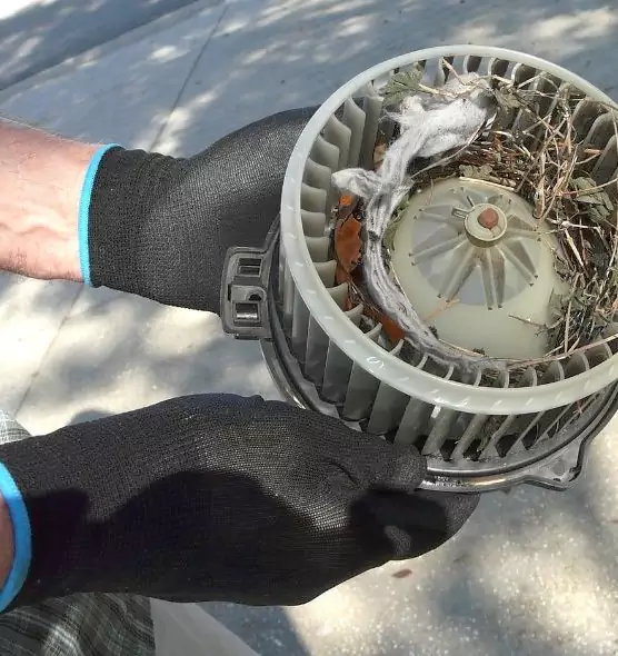 About Air Duct Rat Removal in Bainbridge Island, WA