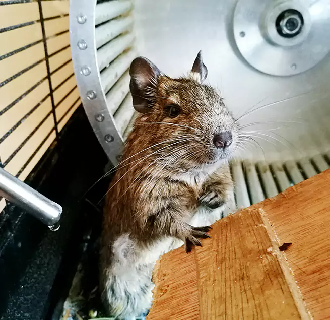 Why Homeowners & Businesses Trust Us Bainbridge Island, WA