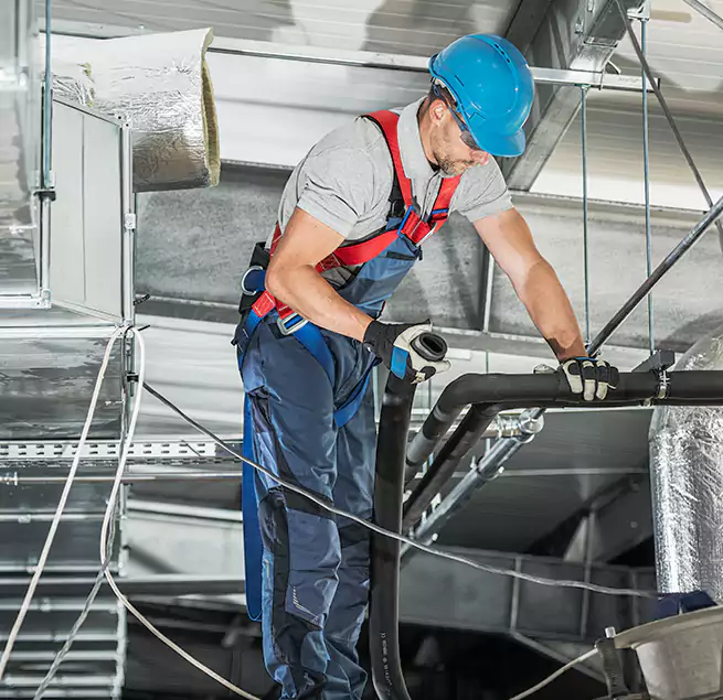 Why Homeowners & Businesses Trust Us in Bainbridge Island, WA?