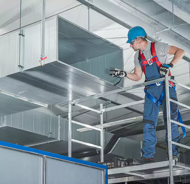 Why Homeowners & Businesses Trust Us in Bainbridge Island, WA?