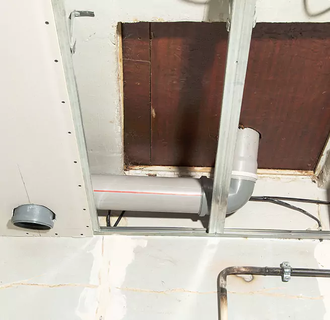 Why Homeowners & Businesses Trust Us in Bainbridge Island, WA?