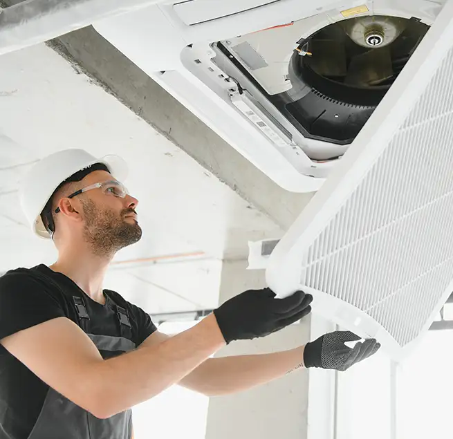 Why Homeowners & Businesses Trust Us in Bainbridge Island, WA?