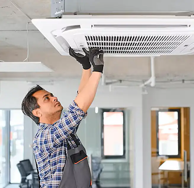 Why Homeowners & Businesses Trust Us in Bainbridge Island, WA?