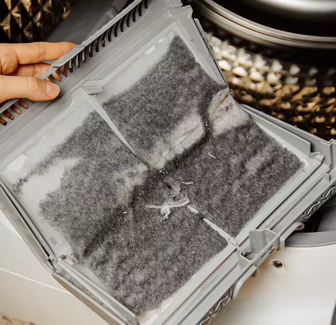 Why Homeowners & Businesses Trust Us Bainbridge Island, WA?