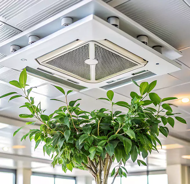 Why Homeowners & Businesses Trust Us in Bainbridge Island, WA?