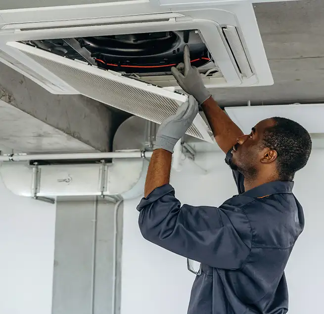 Why Homeowners & Businesses Trust Us in Bainbridge Island, WA?