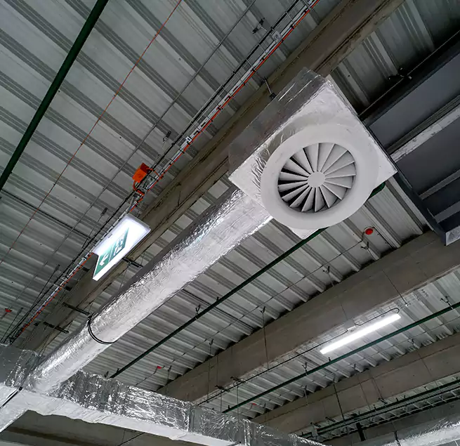 Why Homeowners & Businesses Trust Us in Bainbridge Island, WA?