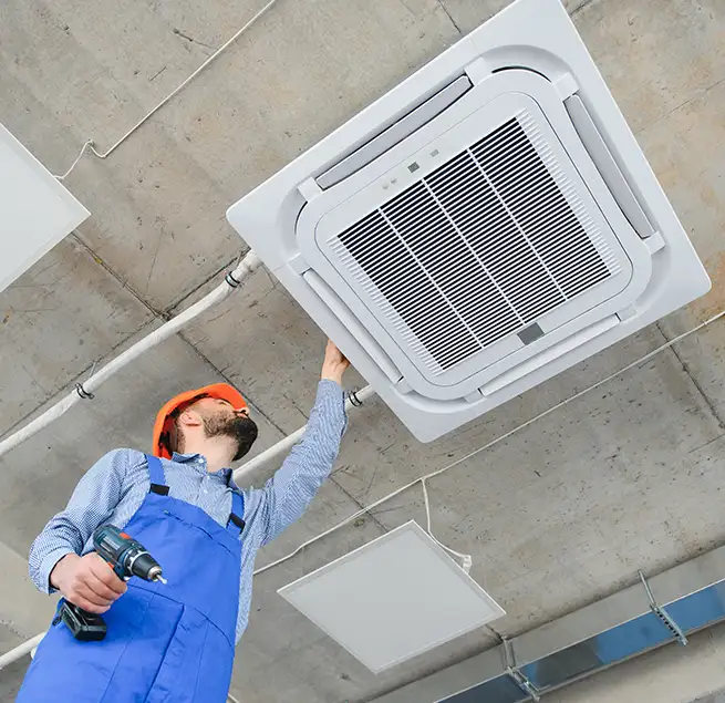 Why Homeowners & Businesses Trust Us in Bainbridge Island, WA