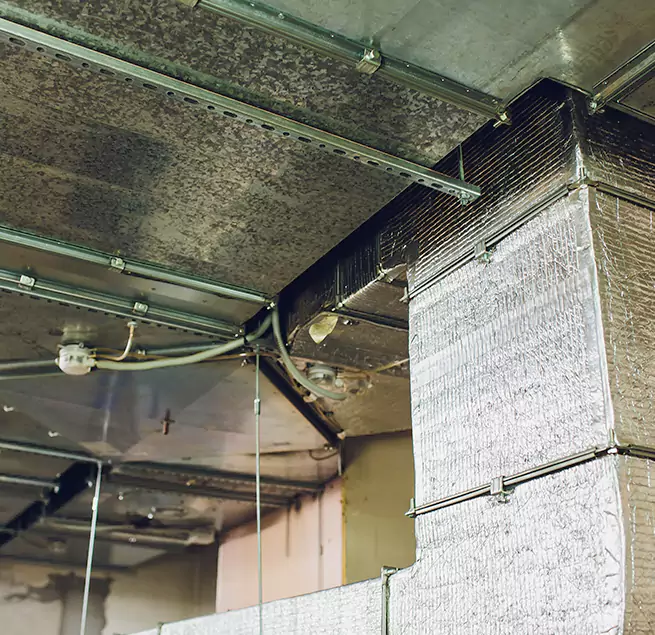 Why Homeowners & Businesses Trust Us in Bainbridge Island, WA?