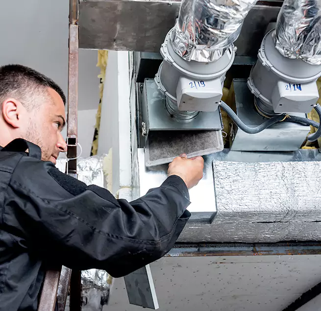 Why Homeowners & Businesses Trust Us in Bainbridge Island, WA?