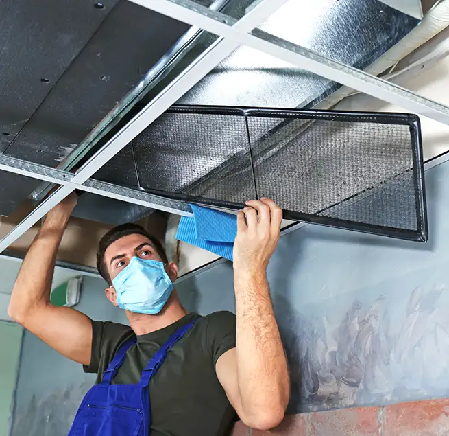 Why Homeowners & Businesses Trust Us in Bainbridge Island, WA?