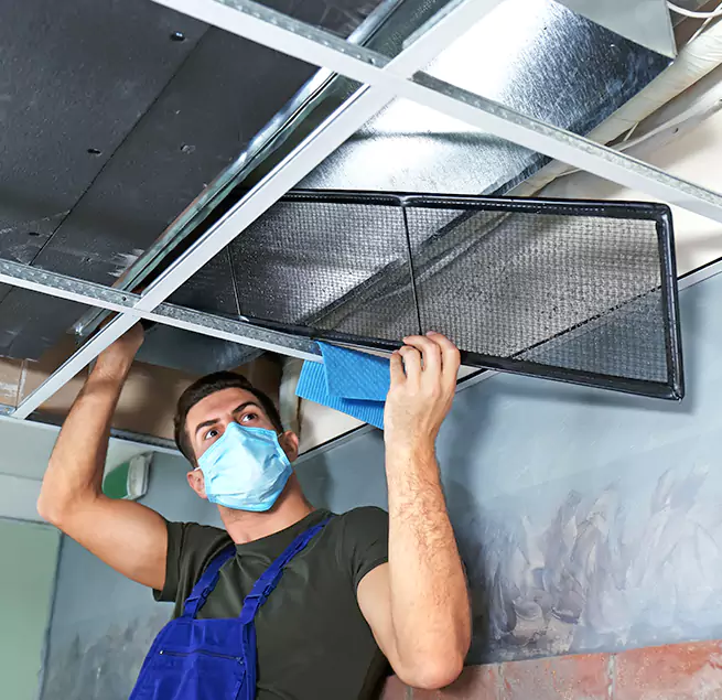  Why Homeowners Businesses Trust Us  in Bainbridge Island, WA?