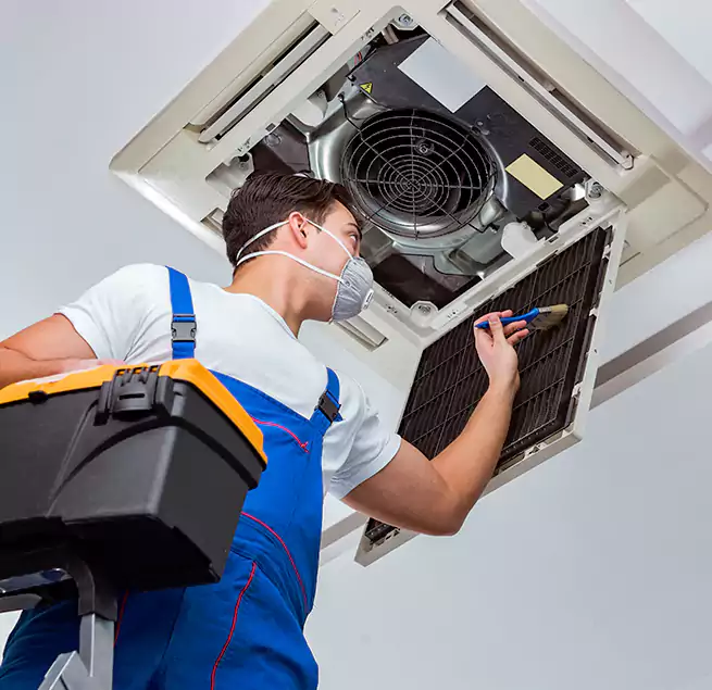 Why Homeowners & Businesses Trust Us in Bainbridge Island, WA?