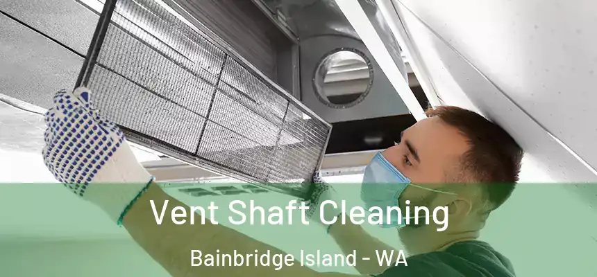 Vent Shaft Cleaning Bainbridge Island - WA