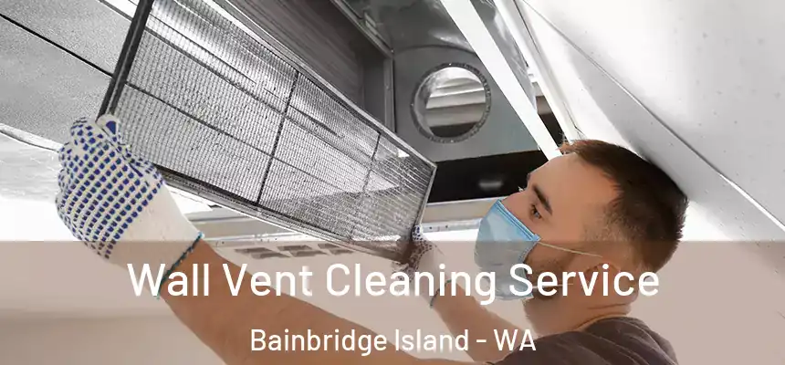 Wall Vent Cleaning Service Bainbridge Island - WA